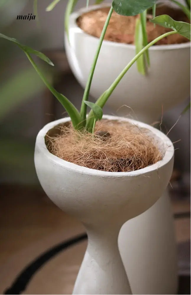 Alien Scoop Standing Flower Pot from Yuanjie Home
