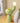 [CLEARANCE] Pastel Cactus Lamp from maija