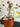 Harrietta Handmade Ceramic Vase from maija