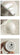 Pearly Lamp Shell from maija