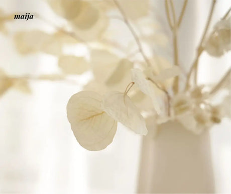 Bella Creamy Matte Ceramic Vase from maija