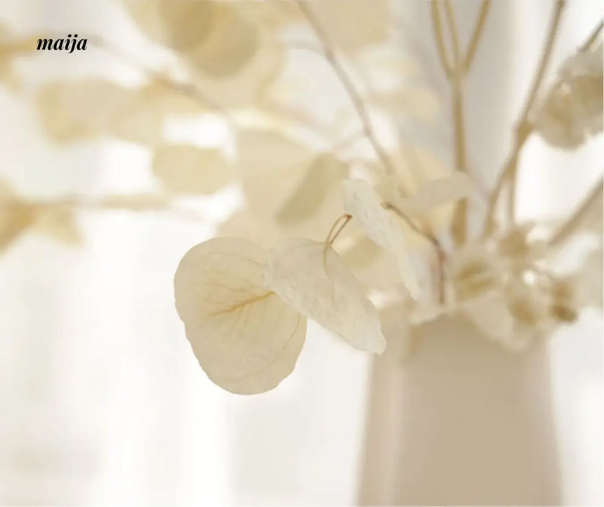 Bella Creamy Matte Ceramic Vase from maija