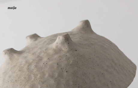 Handmade Ceramic Bowl from ALANIZ