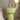 [CLEARANCE] Pastel Cactus Lamp from maija
