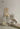 Pearly Lamp Shell from maija