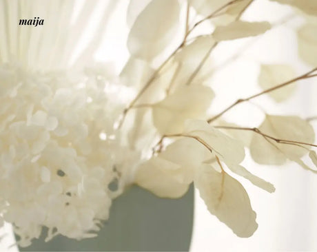 Bella Creamy Matte Ceramic Vase from maija
