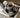 Glossy Puppy Ceramic Mug from maija