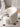 Lotus Petal Lounge Chair from maija