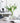 Bell Shaped Glass Vase from maija