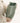 Bella Creamy Matte Ceramic Vase from maija