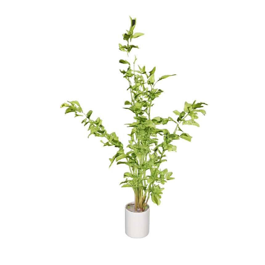 Artificial Super Tall Areca Palm Plant