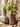 JUHAN Marzanna Vintage Crafted Breathable Flowerpot from JUHAN