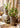JUHAN Marzanna Vintage Crafted Breathable Flowerpot from JUHAN