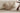VANT Cassiopeia Luxurious Plush Winter Pillow from VANT