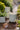 JUHAN Elowen Modern Extra Large Flower Pot Jewelry from JUHAN