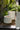 JUHAN Elowen Modern Extra Large Flower Pot Jewelry from JUHAN