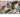 JUHAN Alhambra Creative Geometry Art Flowerpot from JUHAN
