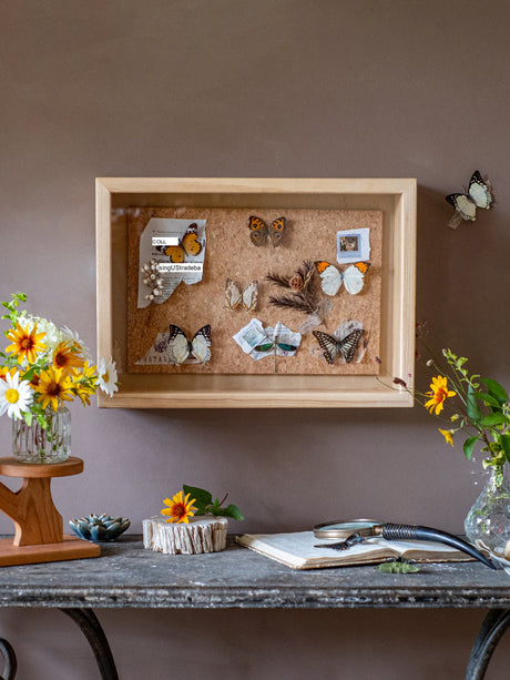 JUHAN Kyoko Three-Dimensional Natural Wood Decorative Storage Frame from JUHAN