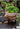 JUHAN Sakura Haruki Large Breathable Flowerpot from JUHAN