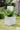 JUHAN Elowen Modern Extra Large Flower Pot Jewelry from JUHAN