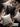 VANT Araminta Elegant Braided Luxury Cushion Pillow from VANT