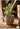 JUHAN Isolde Retro Big Breathable Flowerpot Boho Style from JUHAN