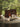 DIME GARDEN Seneca Rustic Eco-Friendly Natural Wood Furniture from DIME GARDEN