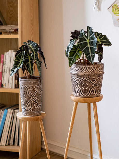JUHAN Marzanna Vintage Crafted Breathable Flowerpot from JUHAN