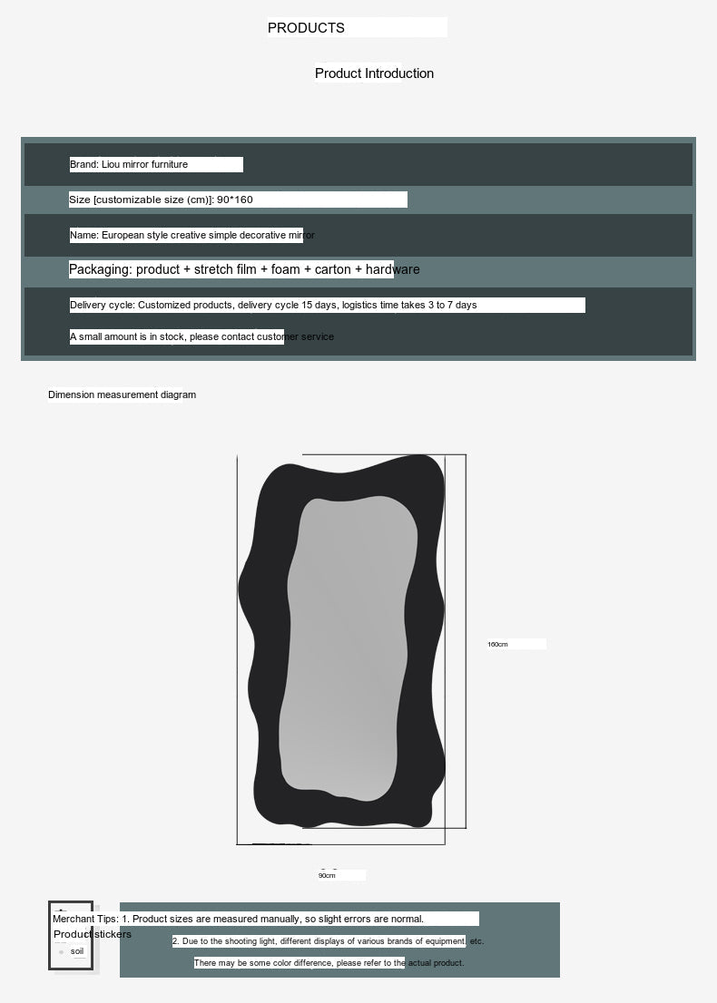 LANXESS Amara Sleek Elegant Full-Length Mirror from LANXESS