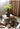 JUHAN Alhambra Rustic Vintage Ceramic Flowerpot from JUHAN