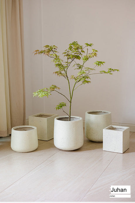 JUHAN Elowen Modern Extra Large Flower Pot Jewelry from JUHAN